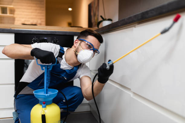 Best Flea Control Services  in Westwood, NJ
