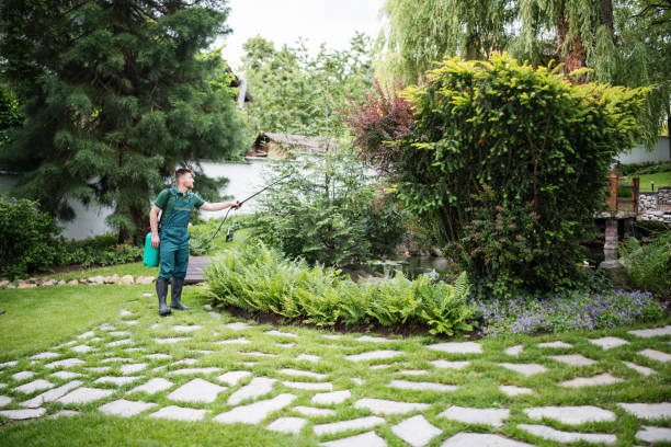 Best Ant Control Services  in Westwood, NJ
